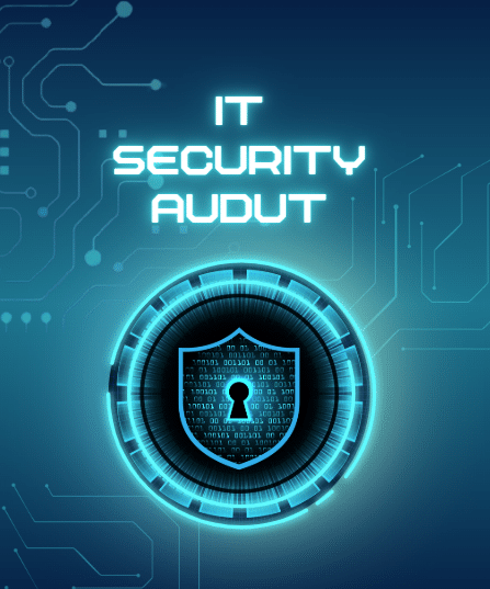 security-audit
